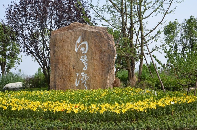 成都智絡軟件7月戶外拓展活動